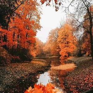 Meet your Posher, Xamaly